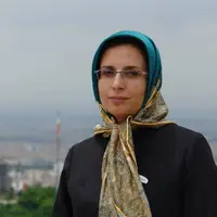 دولت به کار و تحولی خاص شناخته نمی‌شود