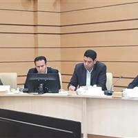 ۴۰ ورزشکار زنجانی با شانس موفقیت در بازی‌های آسیایی و المپیک شناسایی شدند