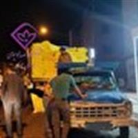 توقیف ۴۲۰ کیسه آرد تقلبی در بیرجند