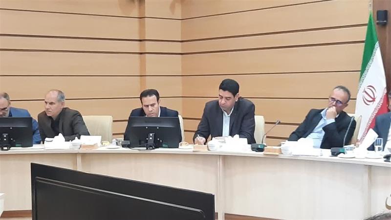 ۴۰ ورزشکار زنجانی با شانس موفقیت در بازیهای آسیایی و المپیک شناسایی شدند