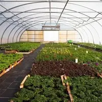  افتتاح ۳۶ طرح حوزه کشاورزی در استان بوشهر 