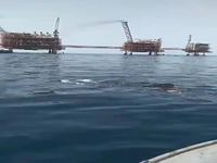 نهنگ سواری بچه های آبادان در خلیج فارس!