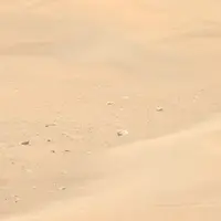یرخورد اتفاقی مریخ‌نورد پرسویرنس به «گودال‌های بزرگ» بادخیز روی سیاره سرخ 