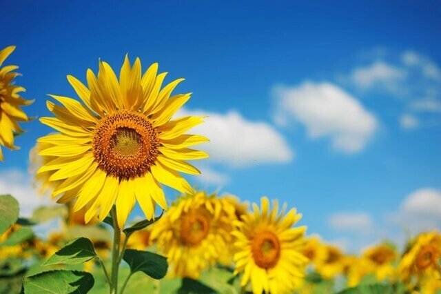 تداوم هوای خنک در همدان
