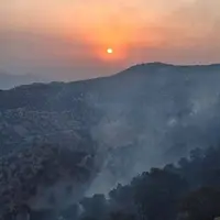 تصویری غم انگیز از جنگل های در حال سوختن بلوط استان ایلام 