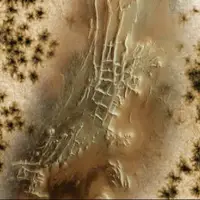 مریخ عنکبوت ندارد!