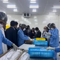 افتتاح واحد انجماد ماهی و سردخانه زیر صفر در روستای سهیلی