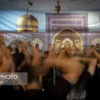 عکس/ تصاویر «منتخب هفته»       