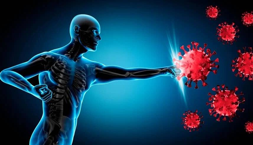 با این مواد طبیعی، ویروس‌ها جرات نزدیک شدن ندارند