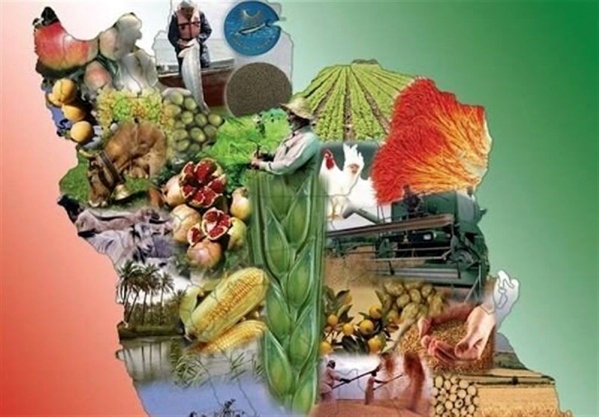 توضیح وزیر جهاد درباره ذخایر استراتژیک غذایی؛ تا ۲ ماه دیگر ذخایر غذایی تمام می شود؟