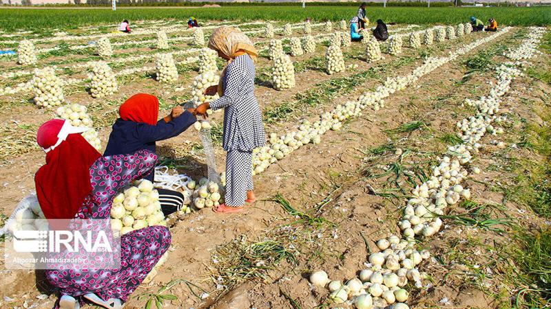 بیمه تامین اجتماعی رایگان برای ۳۷۱ هزار مادر روستایی دارای سهفرزند