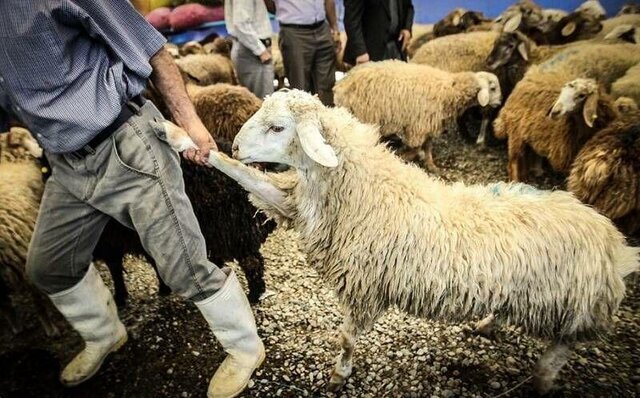 دستگیری سارقان مسلح احشام در دزفول