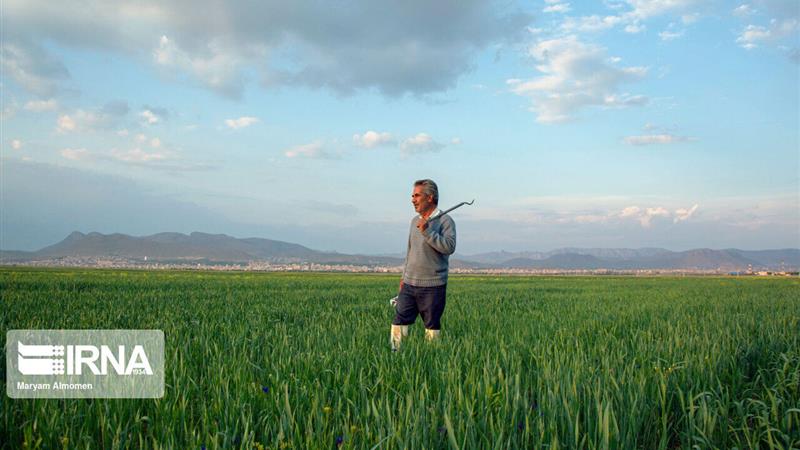 پنج همت برای متناسبسازی مستمری بیمهشدگان صندوق روستاییان و عشایر اختصاص یافت