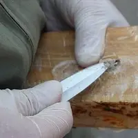 کشف ۸ کیلوگرم ماده مخدر از سوداگران مرگ در جویبار