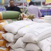 ممنوعیت واردات برنج در فصل برداشت غیرقانونی اعلام شد