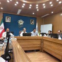 پیش بینی بهره‌مندی ۳۵۰ هزار زنجانی از شادواره شهروندی