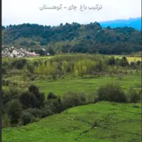 طبیعت لاهیجان قشنگ و دوست داشتنی