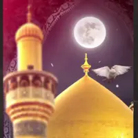  استوری/ تسلیت شهادت امام حسن عسکری علیه‌السلام