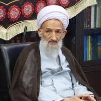 ۱۳ هزار مازندرانی خادمیار رضوی هستند