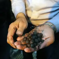 توقیف ۲۰ تن سنگ معدنی قاچاق از یک کامیون در بندرعباس