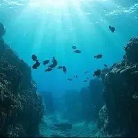 یک موجود عظیم الجثه ساکن دریا