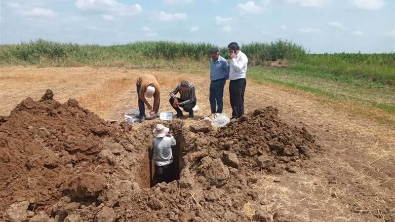 مطالعات میدانی خاکشناسی اراضی زراعی استان اردبیل به پایان رسید