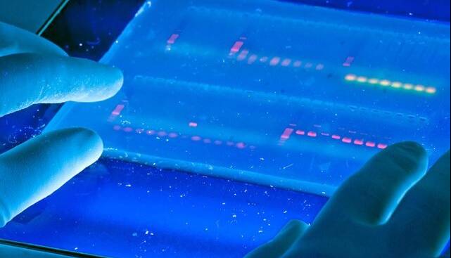 سیستم‌های ایرانی، مسیر تحلیل DNA و RNA را در آزمایشگاه‌های زیست‌شناسی هموار کردند