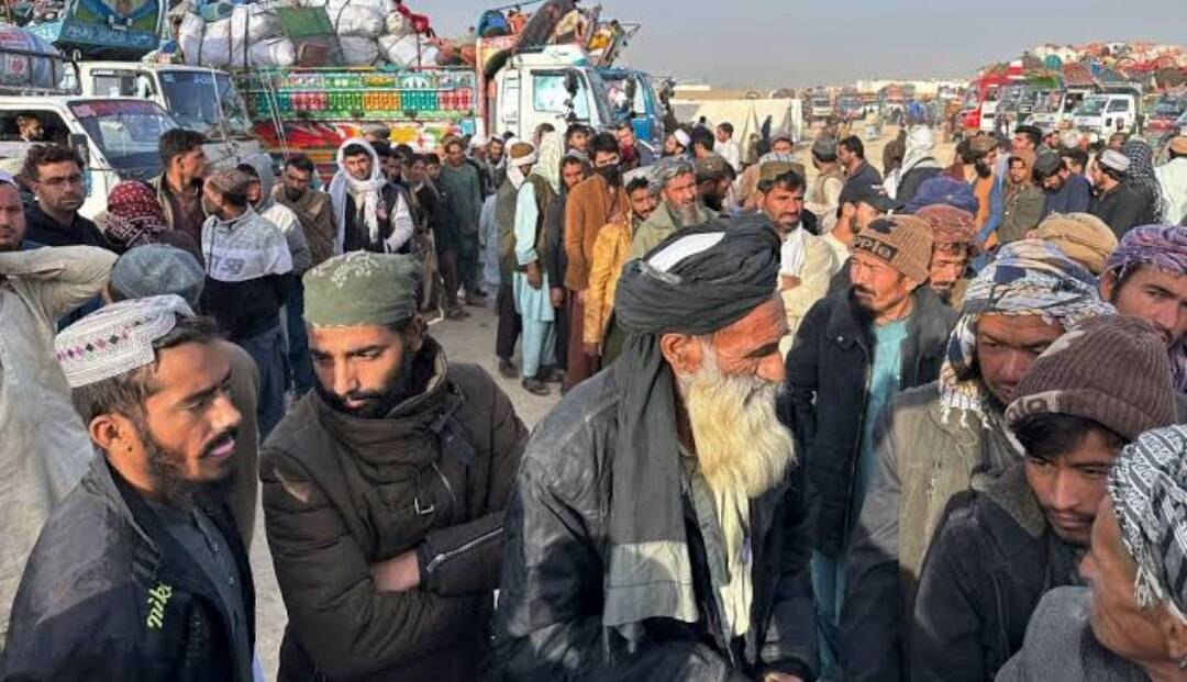 پاکستان اخراج اتباع افغانستانی را آغاز کرد