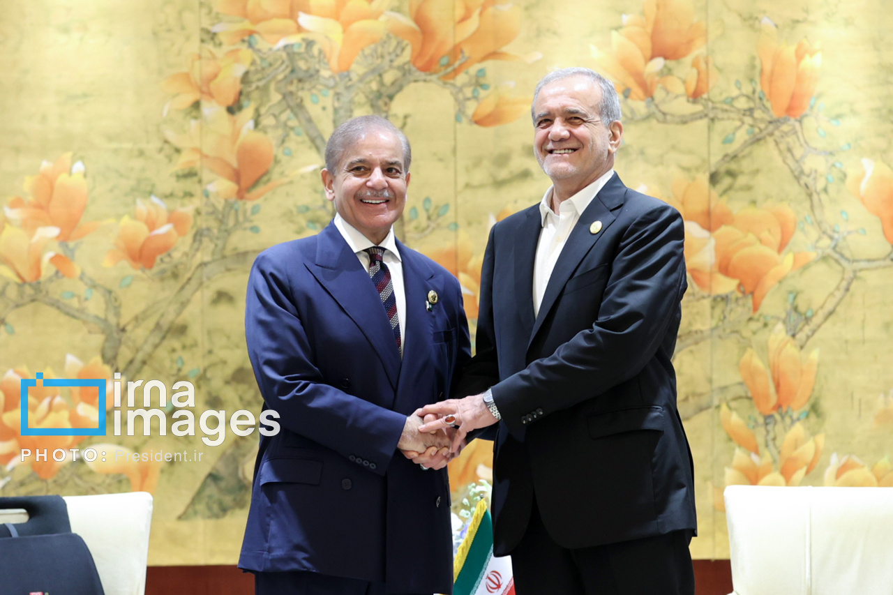 عکس/ دیدار نخست وزیر پاکستان با رئیس جمهور