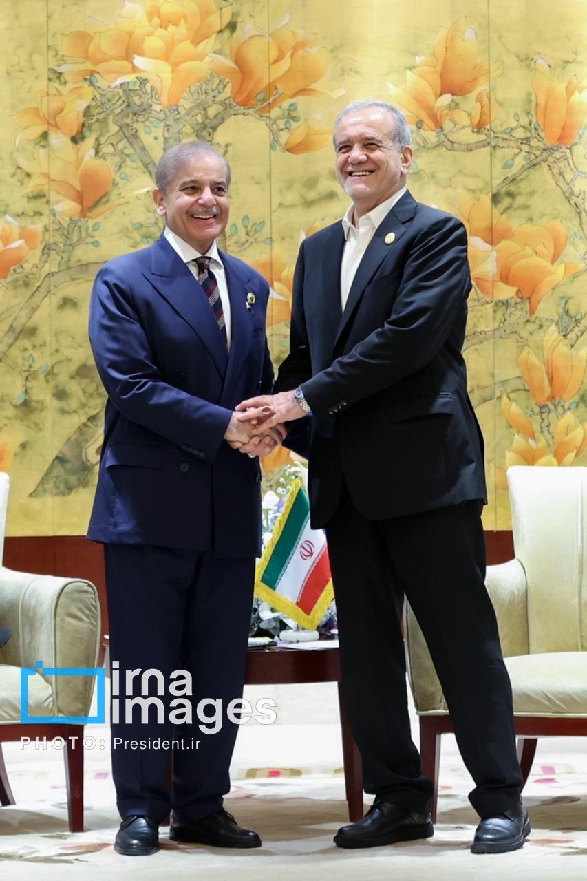 عکس/ دیدار نخست وزیر پاکستان با رئیس جمهور
