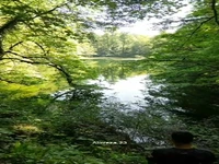 دریاچه ی زیبای فراخین در استان مازندران