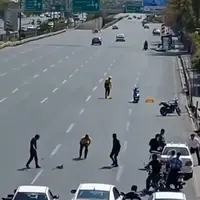 ویدیوی پربازدید کمک به جوجه‌اردک‌ها؛ نمادی از مهربانی در فضای مجازی