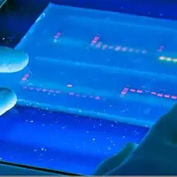 سیستم‌های ایرانی، مسیر تحلیل DNA و RNA را در آزمایشگاه‌های زیست‌شناسی هموار کردند