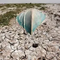 بادشکن غیرزنده تالاب هامون؛ تجربه‌ای بومی با هزینه یک‌دهم طرح‌های مشابه