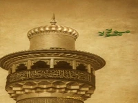 استوری/ مولا به فدای صحن و مرقد تو