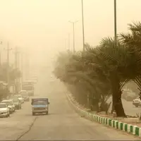 گردوغبار میهمان ناخوانده بوشهر