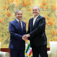 عکس/ دیدار نخست وزیر پاکستان با رئیس جمهور