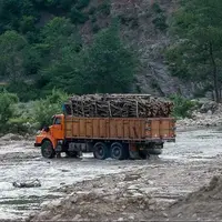 ۳۰ تن انواع چوب جنگلی قاچاق در عباس آباد کشف شد