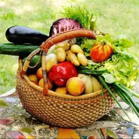 نقش رنگ میوه و سبزی در کاهش سرطان