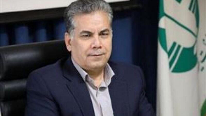 اجرای طرح «مرکز فراجمعیت» برای حفاظت از یوزپلنگ نیازمند تامین اعتبار است