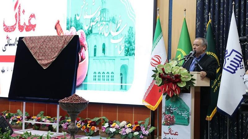 تحول در صنایع تبدیلی و بستهبندی محصولات کشاورزی خراسان جنوبی ضروری است