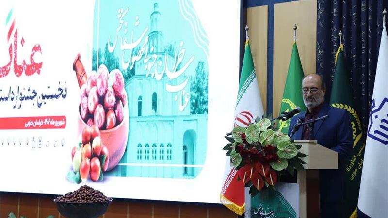 جشنواره عناب خراسان جنوبی فرصتی برای معرفی این گیاه دارویی در سطح ملی است