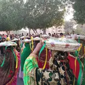 فیلم/ آغاز یازدهمین جشنواره شکرگزاری انبه و یاسمین گل در میناب