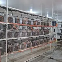 کشف ۶۳ مزرعه ماینر معادل ۱۹ هزار مشترک از ابتدای سال تا کنون