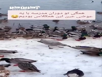 همگی تو دوران مدرسه یک همکلاسی عین این داشتیم