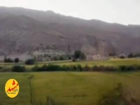 جاده‌ای سرسبز با عطر شالیزارها در قلب خراسان