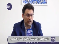 تحلیلگر مسائل اقتصادی: تاثیر مکانیسم ماشه بر بازار ارز فقط روانی است