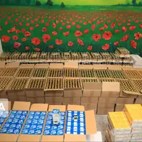 کشف محموله بزرگ داروهای غیرمجاز در تهران