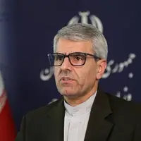 بقائی: پیگیری‌ها برای آزادی مشروط و انتقال مهدیه اسفندیاری به مکانی خارج از زندان ادامه دارد