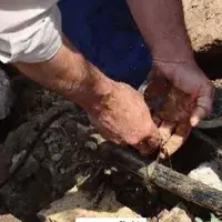 رفع مشکل قطعی ۳ روزه آب در مجتمع ۲۱۶ واحدی بندرعباس